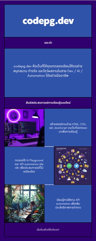 อินโฟกราฟิก codepg.dev
